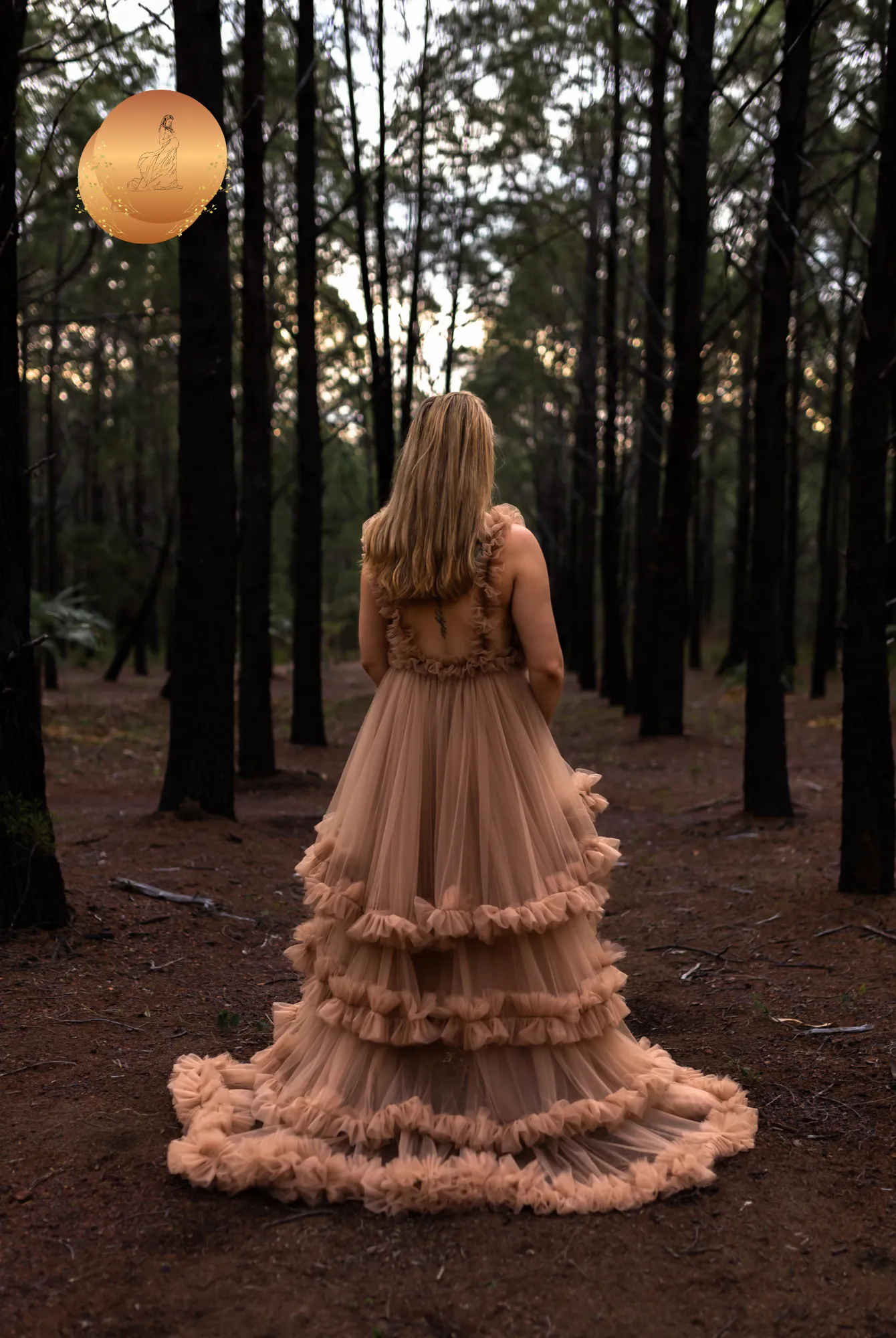 Maternity Photoshoot Dresses - Brown Tulle Gown - Paris