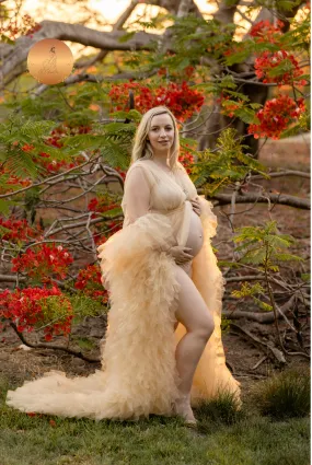 Maternity Photoshoot Dresses - Champagne Robe - Sophie