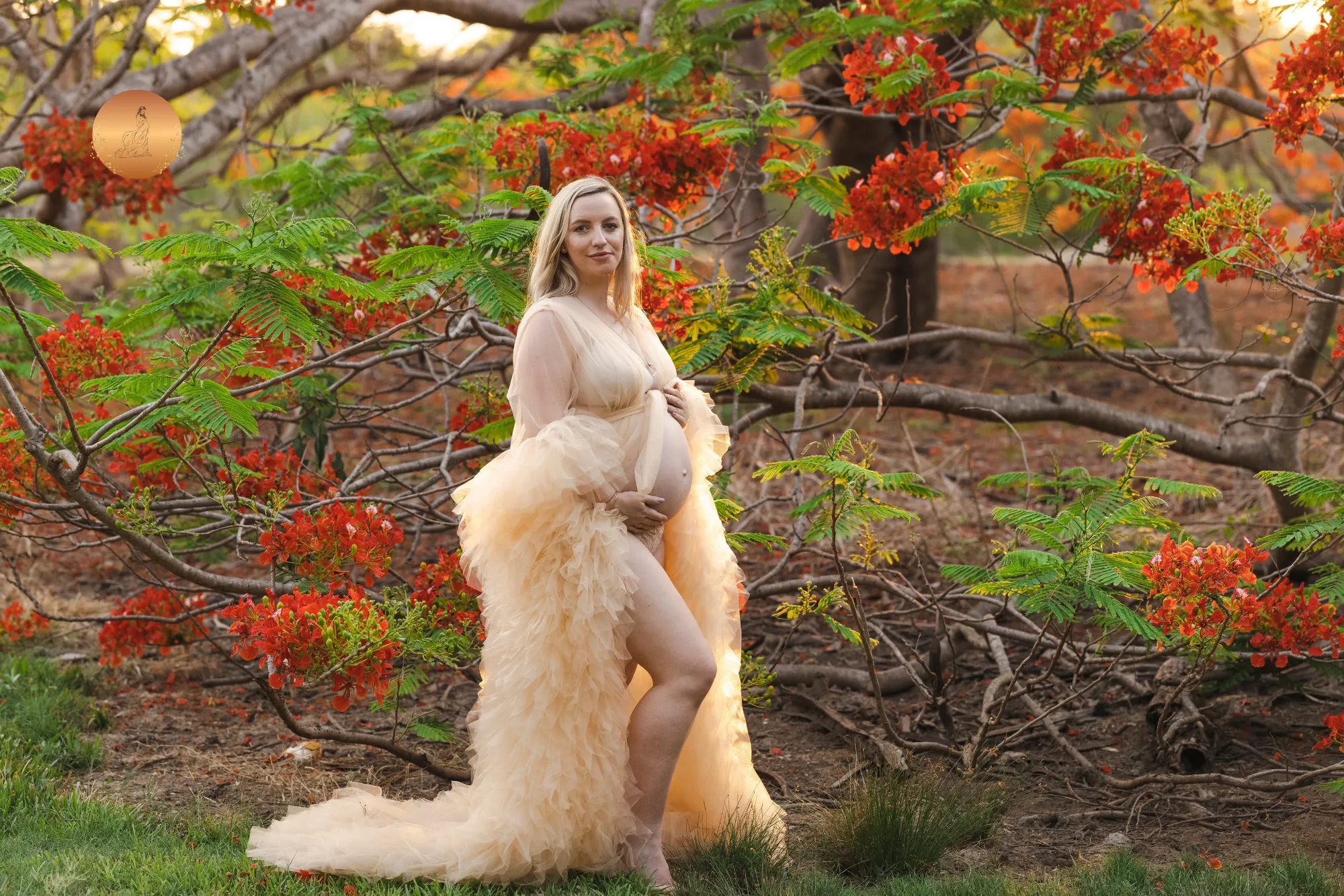 Maternity Photoshoot Dresses - Champagne Robe - Sophie