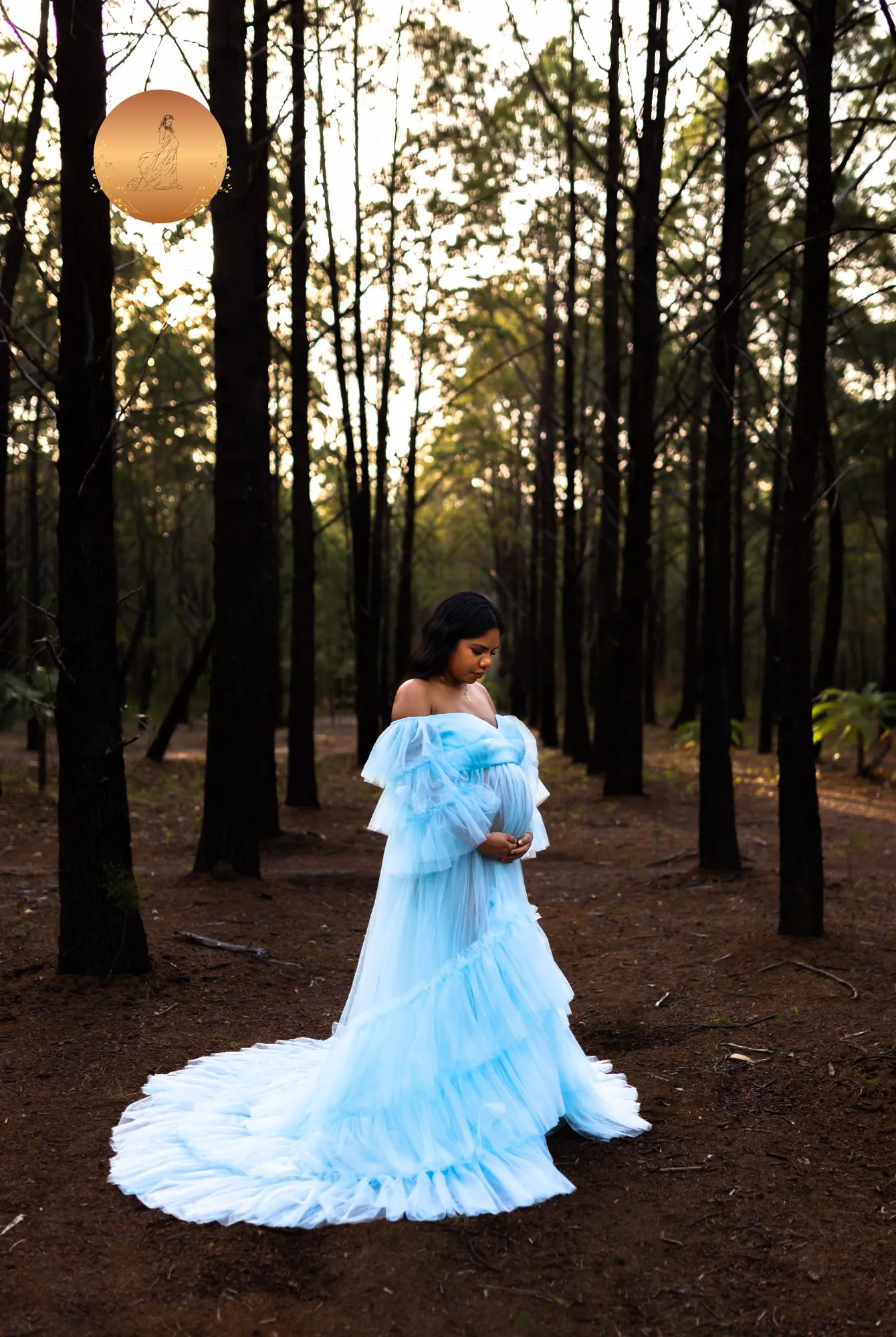 Maternity Photoshoot Dresses - Penny - Baby Blue Tulle Gown