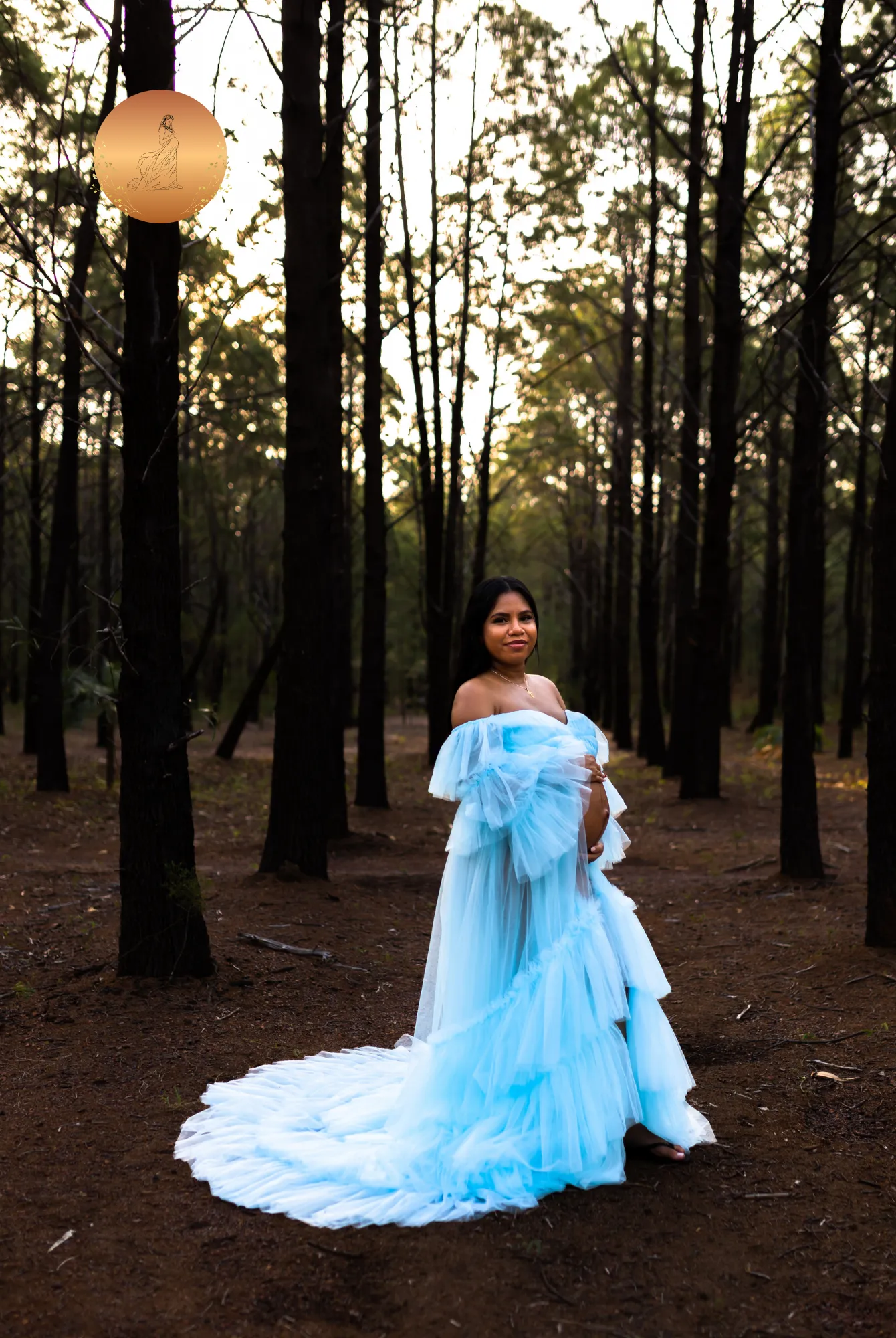 Maternity Photoshoot Dresses - Penny - Baby Blue Tulle Gown