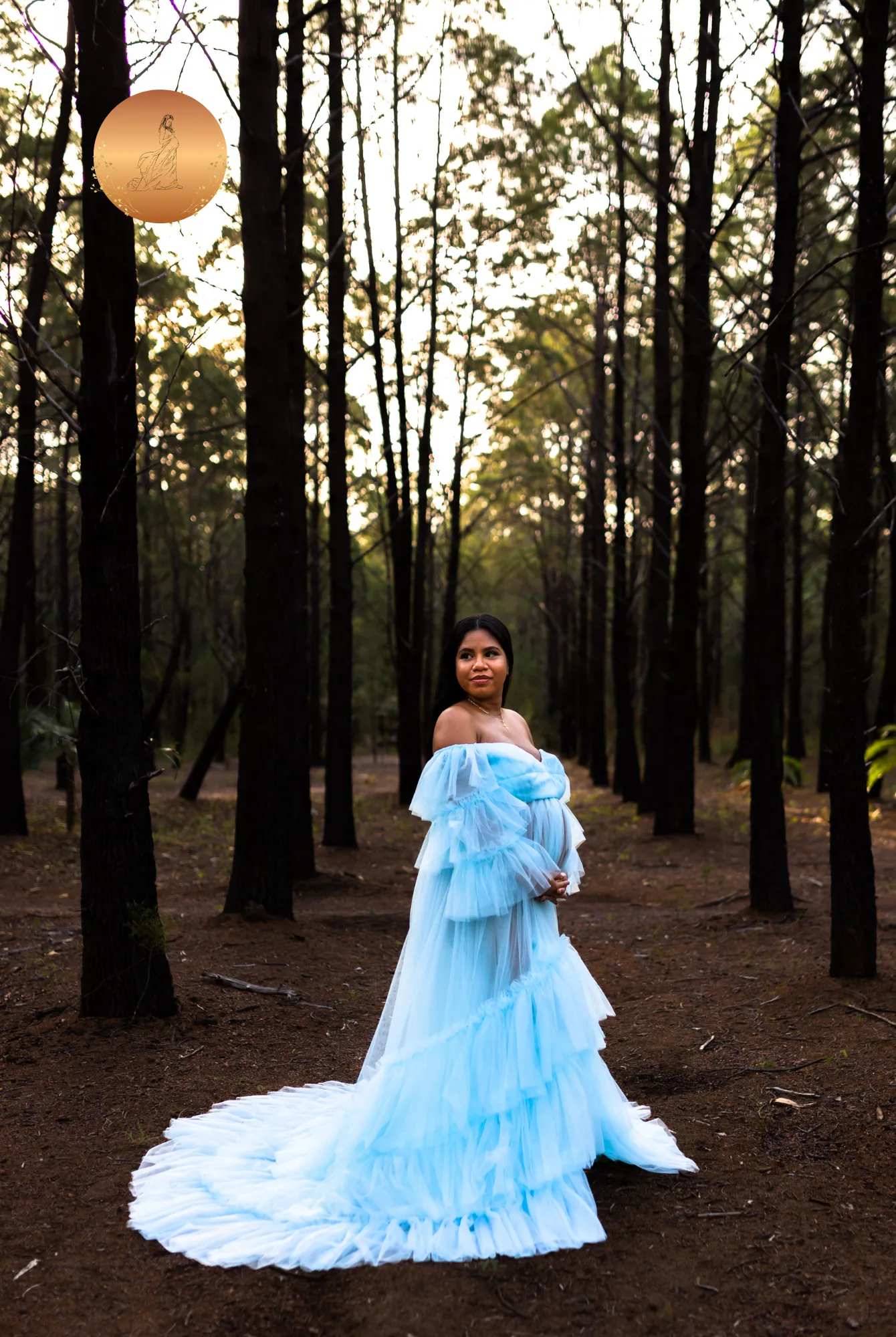 Maternity Photoshoot Dresses - Penny - Baby Blue Tulle Gown