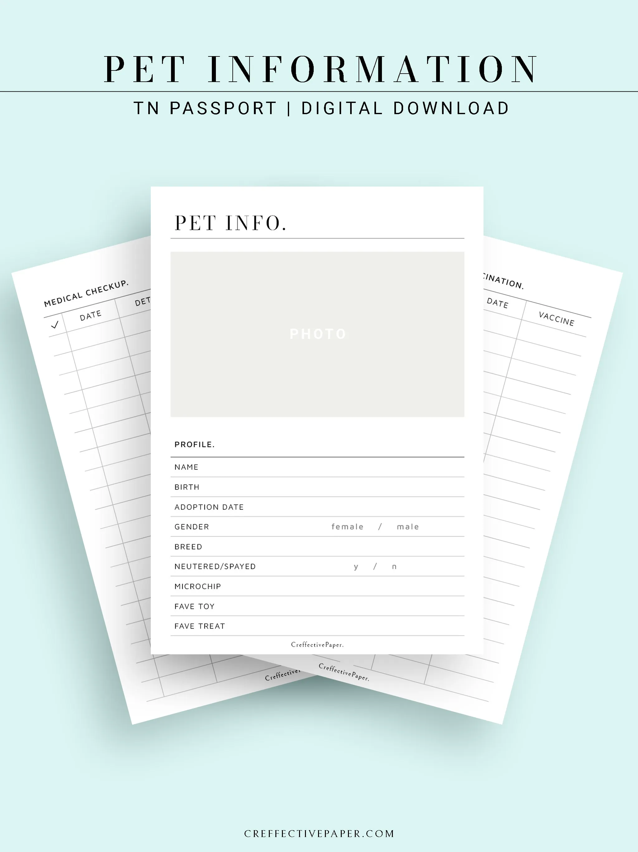 N110 | Printable Pet Information & Care Planner Template