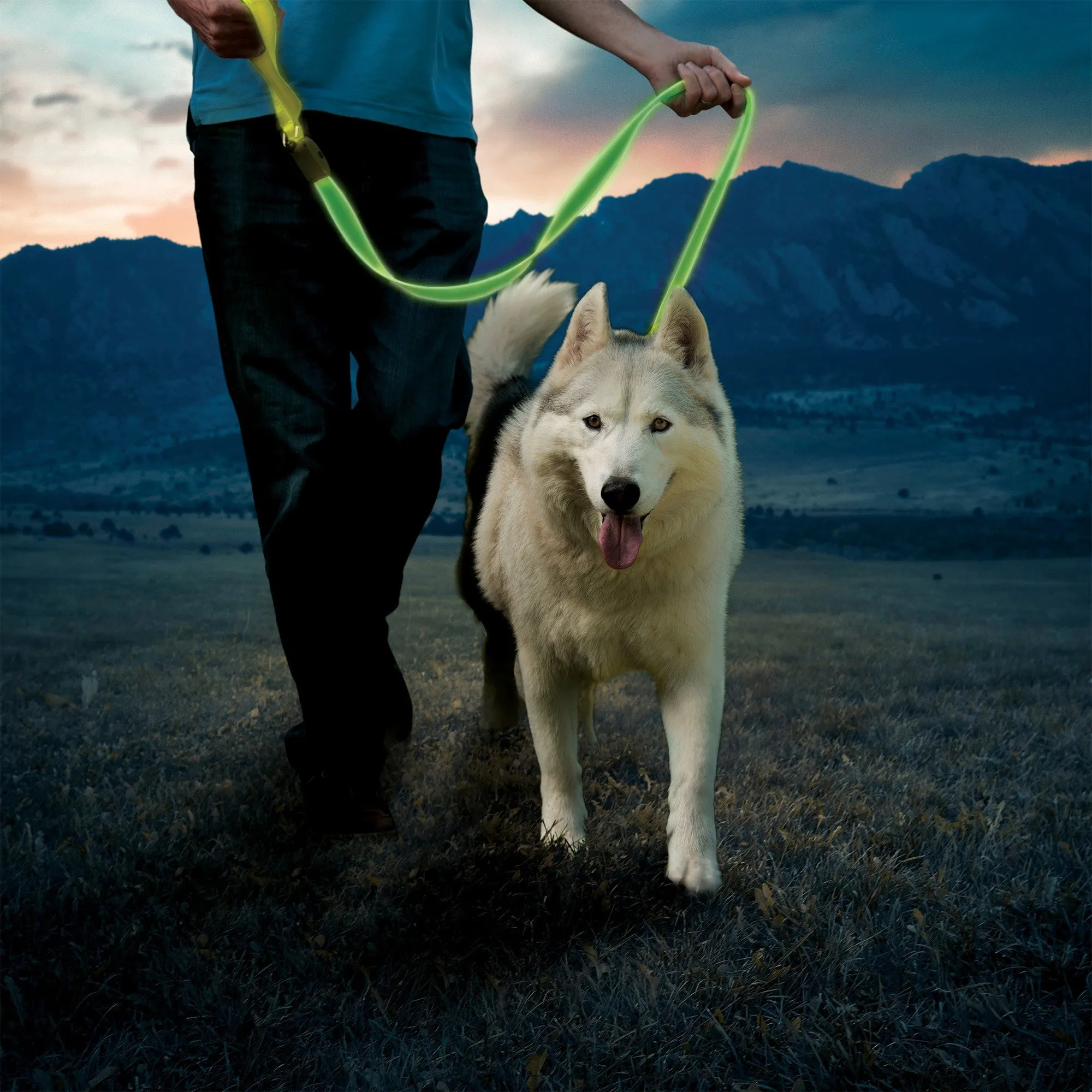 Nite Ize NiteDog Rechargeable LED Leash - Lime/Green LED - 15-12527