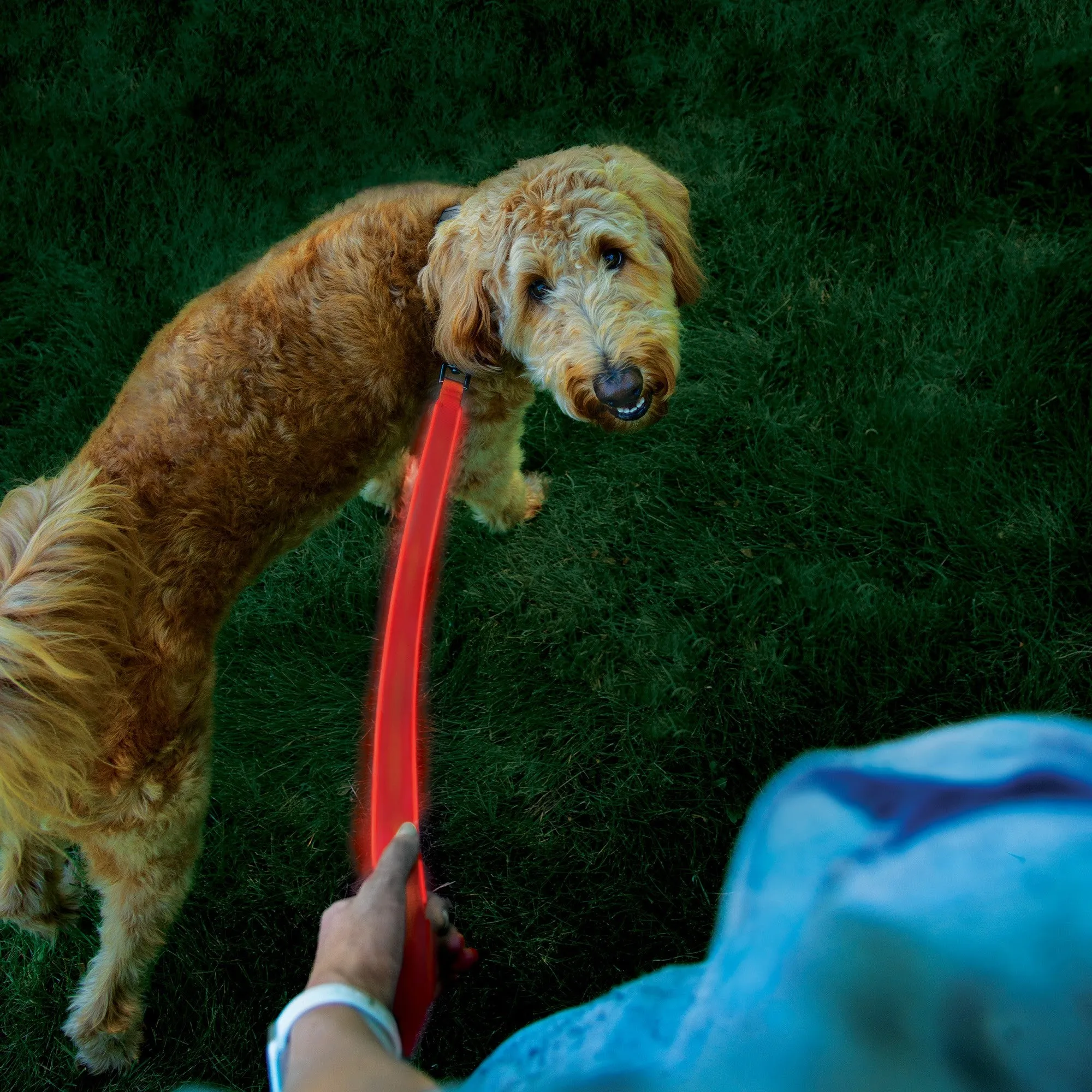 Nite Ize NiteDog Rechargeable LED Leash - Red/Red LED - 15-12725