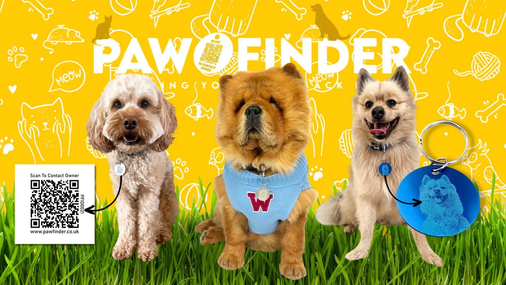 Pawfinder Dog Tag