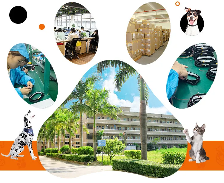 PAWS ASIA Supplier Best Selling Rechargeable Light Up Led Collars Dog And Cat