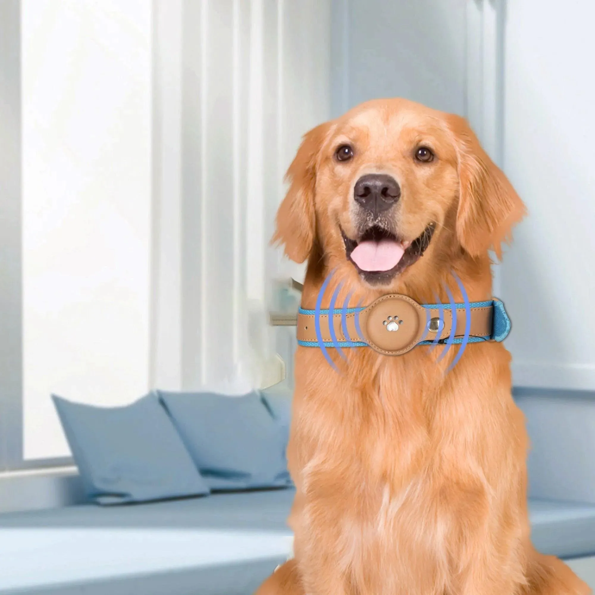 PaWz Pet AirTag Bluetooth Collar