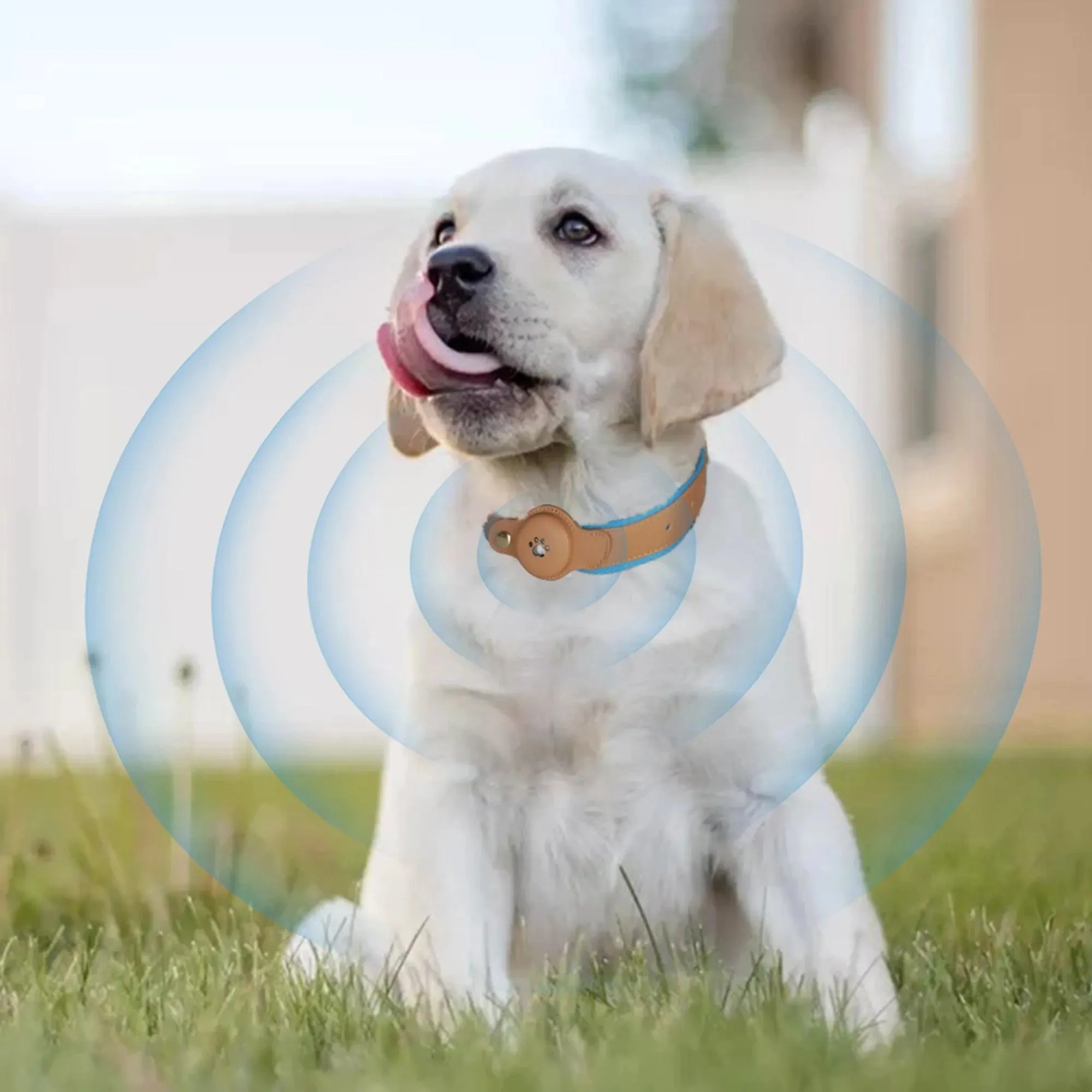 PaWz Pet AirTag Bluetooth Collar