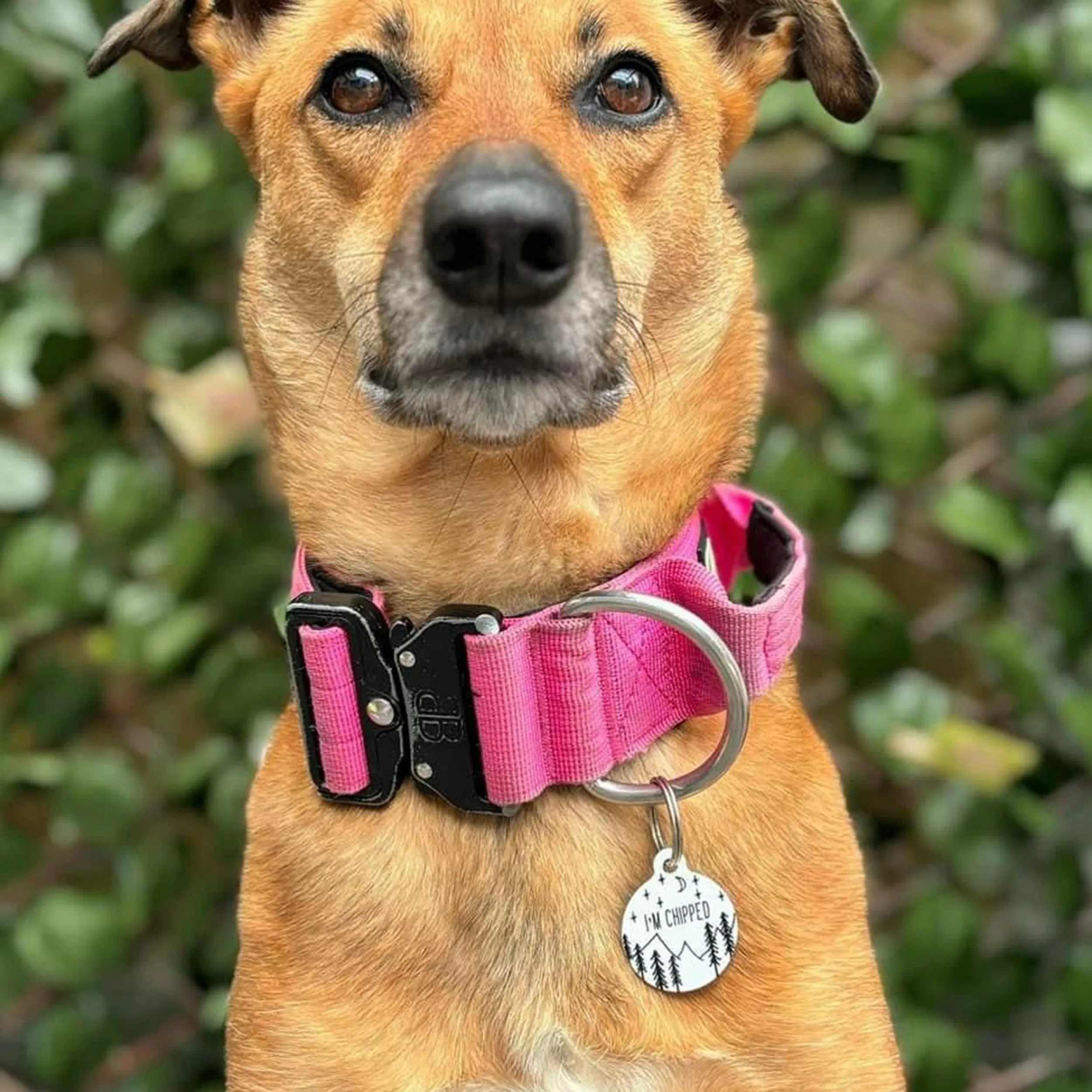 Personalised Pet Name ID Tag - Mountain Range