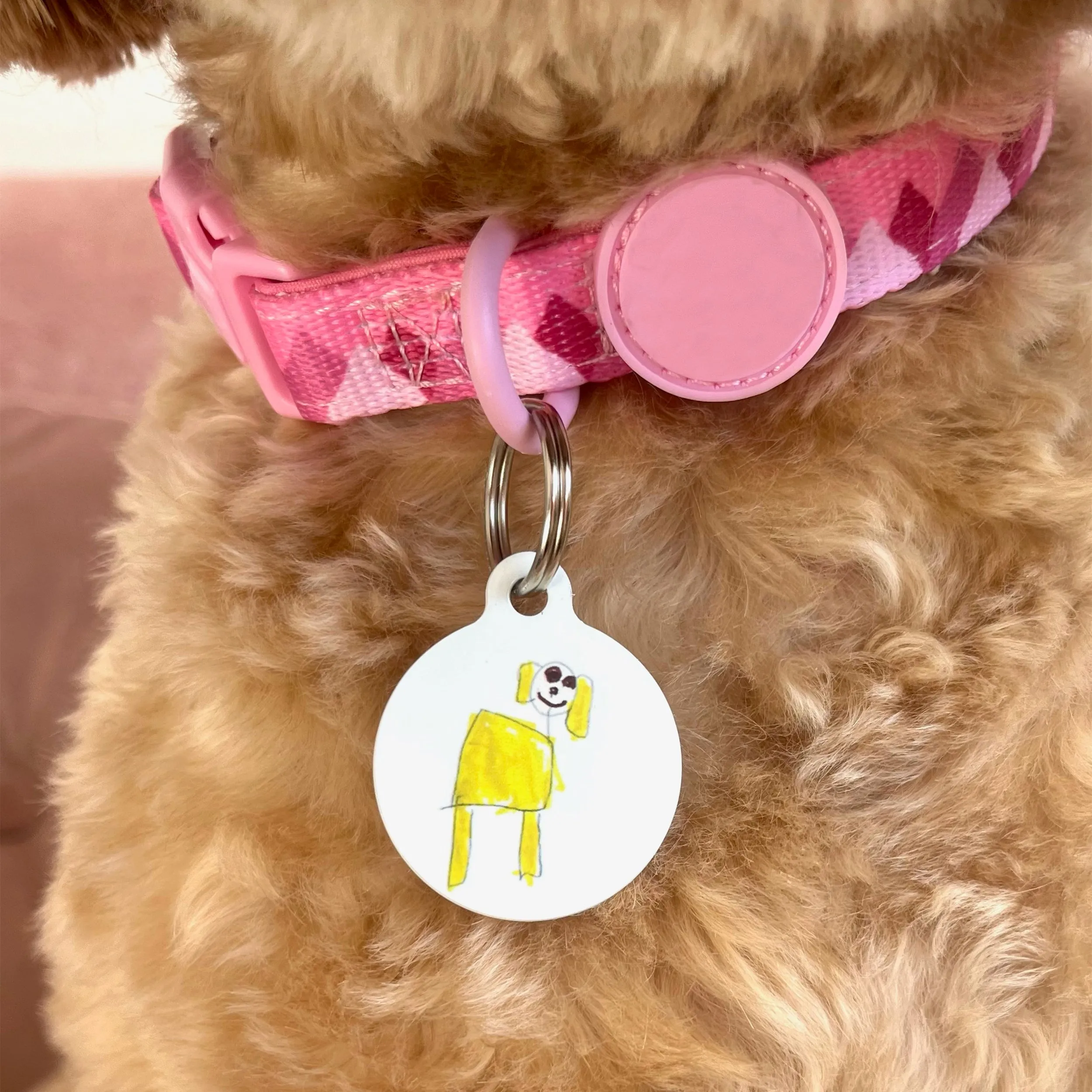 Pet tag - Designed by your child