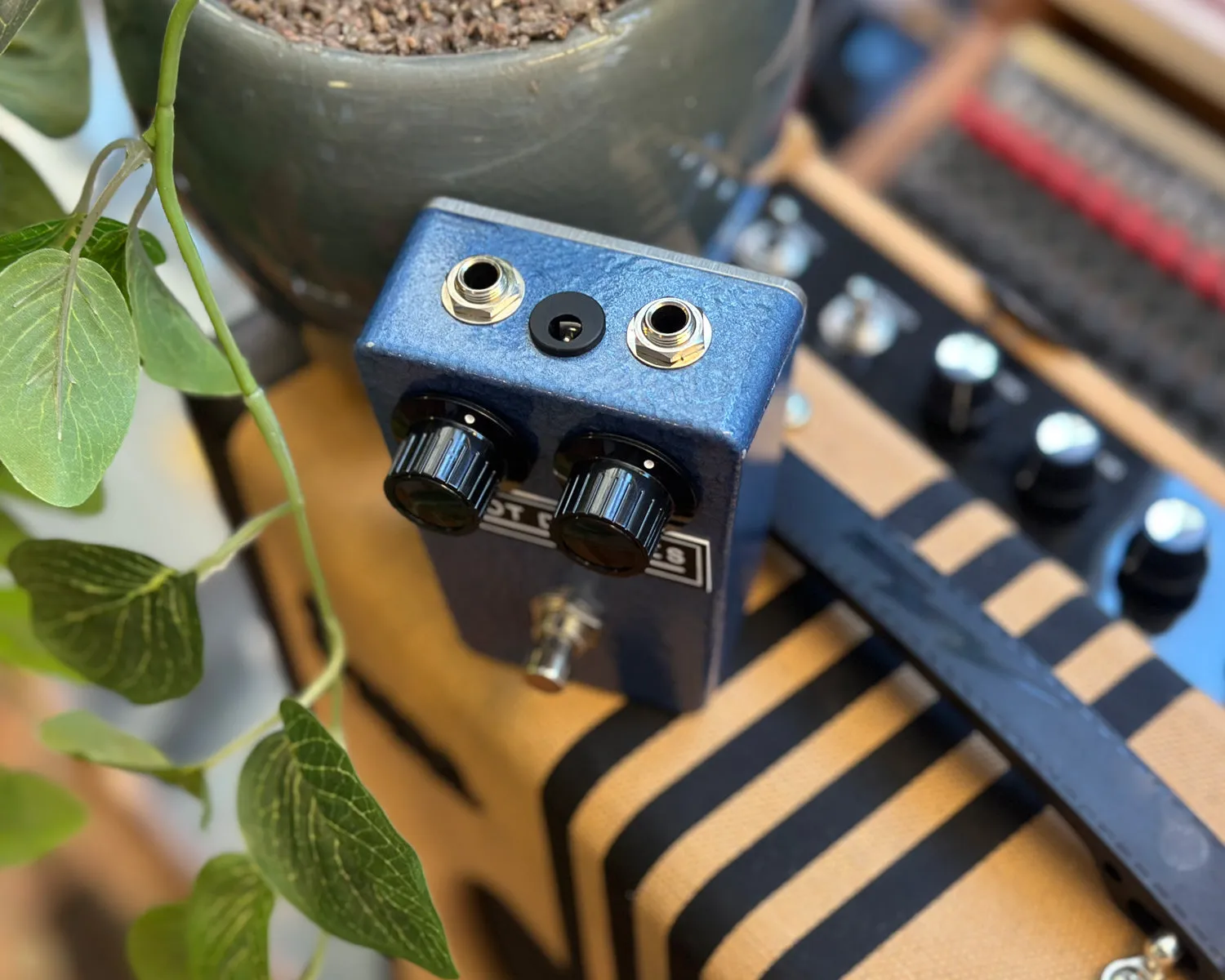 Pilot Devices Colorsound Two Knob Fuzz