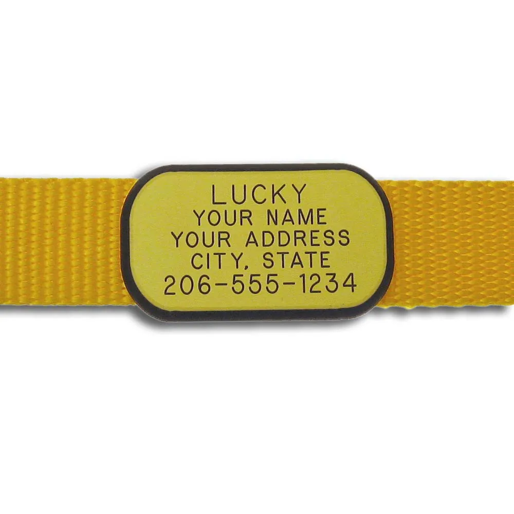 Plastic Collar Tag - Rectangle