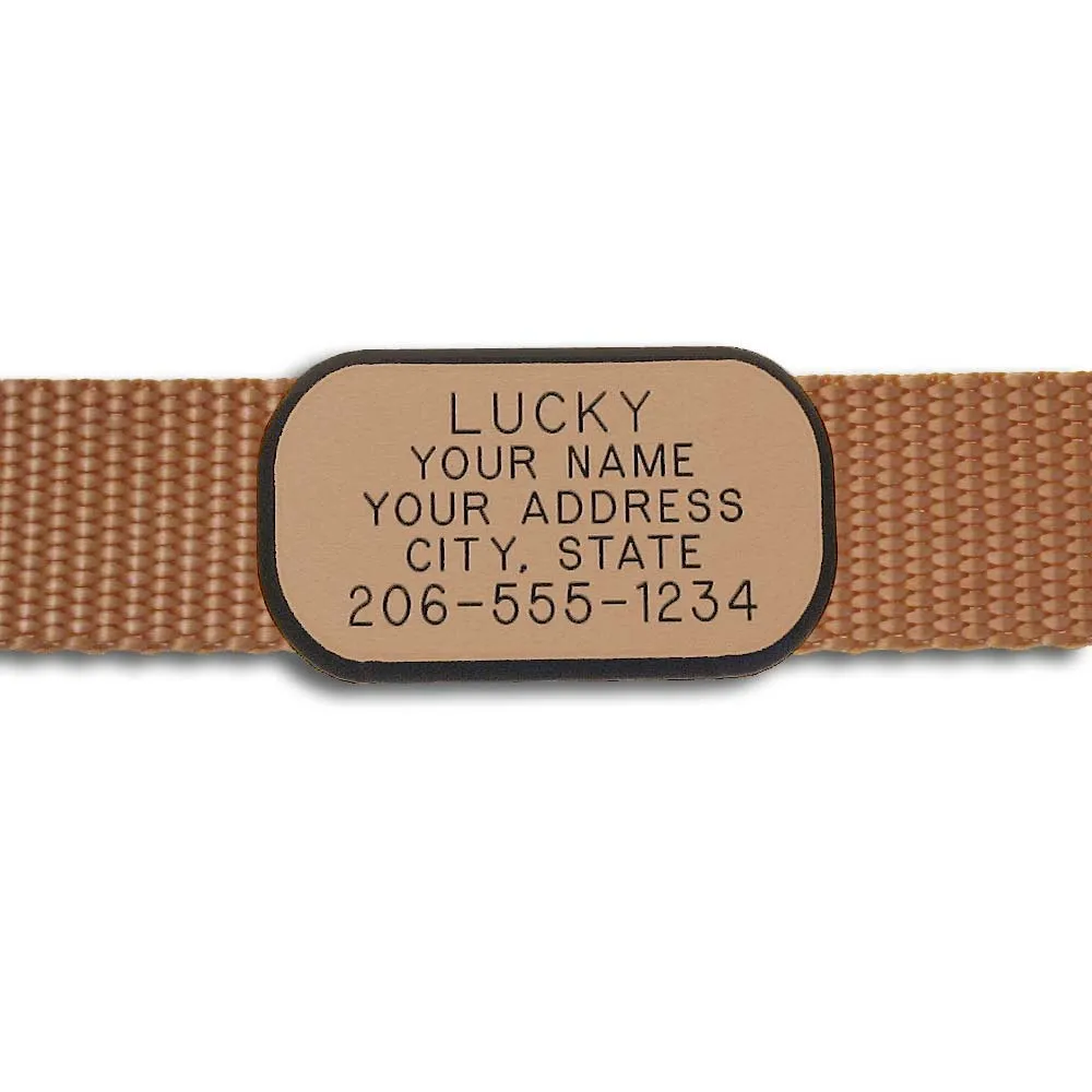 Plastic Collar Tag - Rectangle