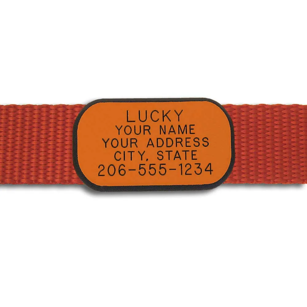 Plastic Collar Tag - Rectangle