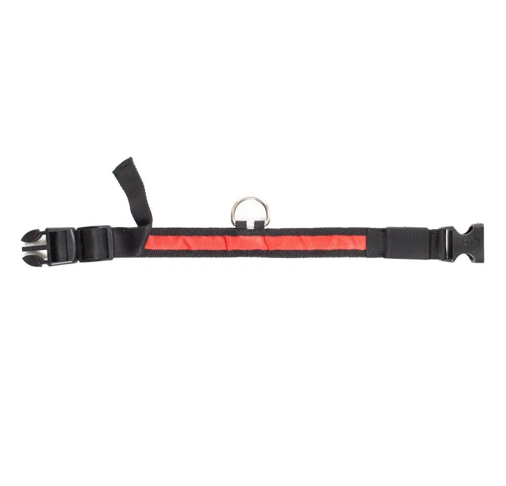 PRODOGG™ LED COLLAR, USB RECHARGEABLE 195203