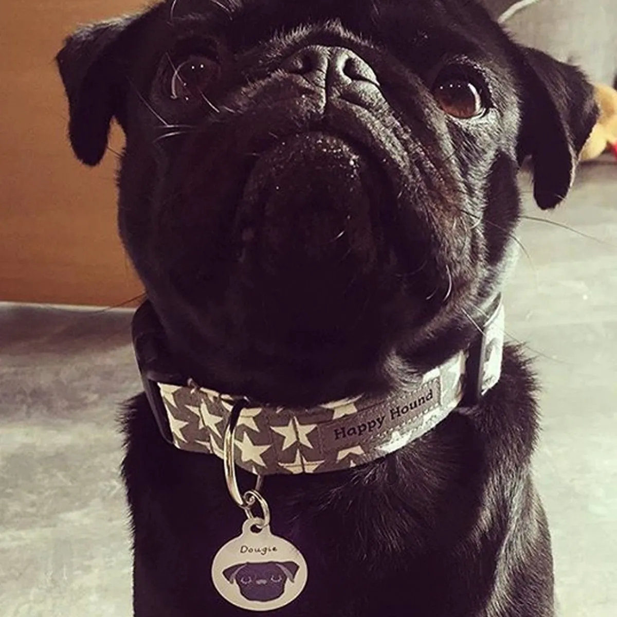 Pug Personalised Dog ID Tag