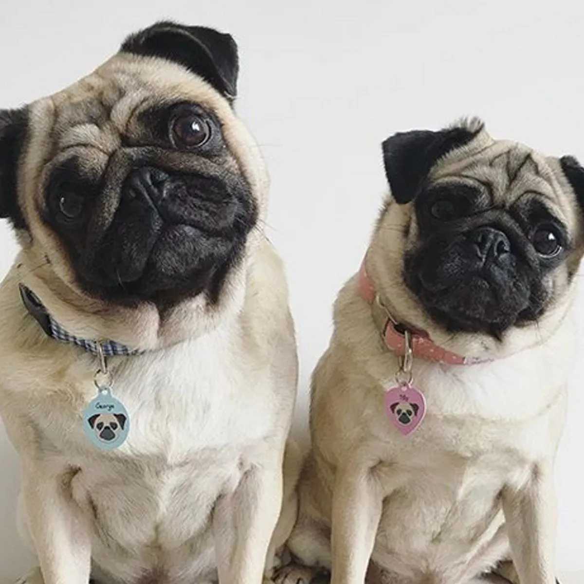 Pug Personalised Dog ID Tag
