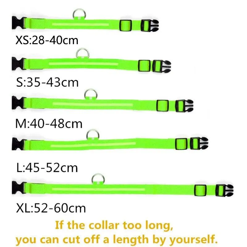 Rechargeable LED Dog Collars