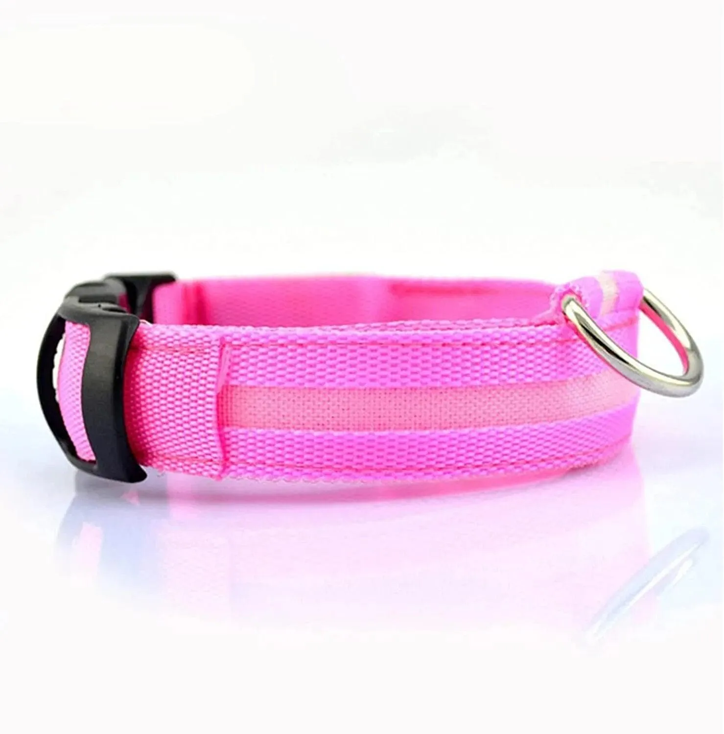 Rechargeable LED Dog Collars