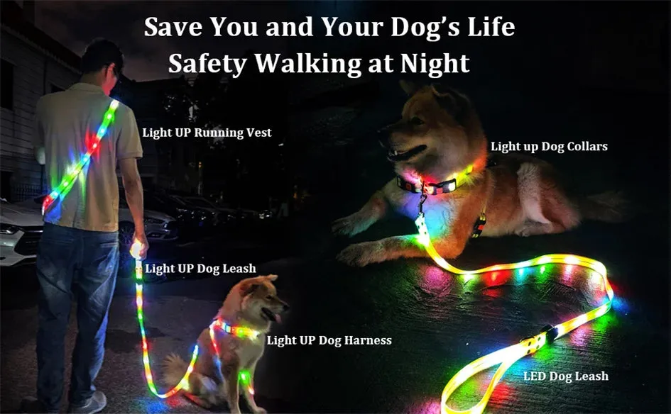Rechargeable LED Dog Leash for Enhanced Nighttime Safety