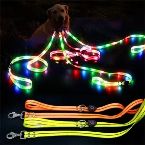 Rechargeable LED Dog Leash for Enhanced Nighttime Safety