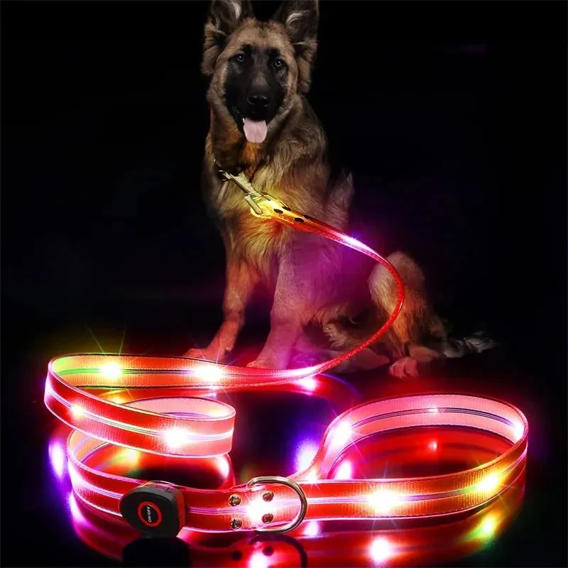 Rechargeable LED Dog Leash for Enhanced Nighttime Safety