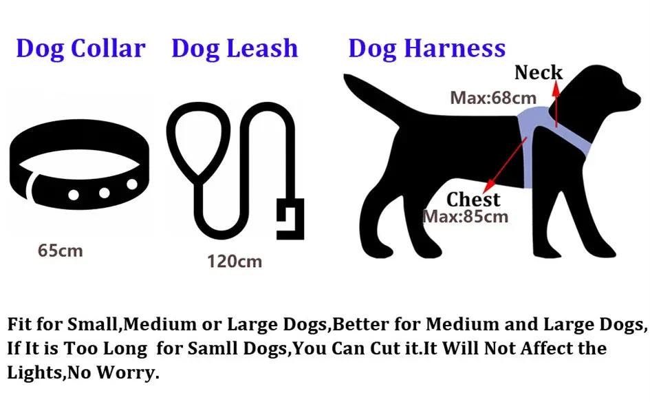 Rechargeable LED Dog Leash for Enhanced Nighttime Safety