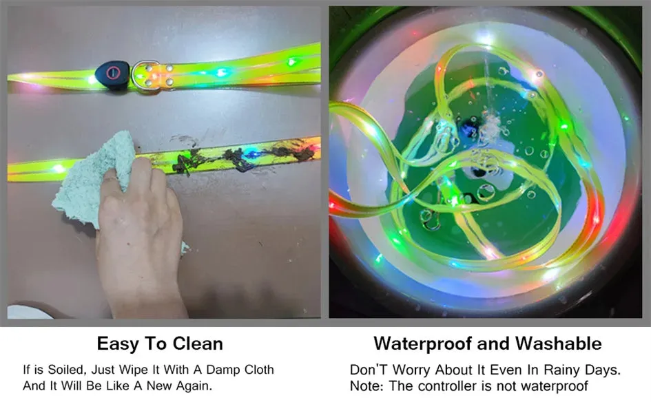 Rechargeable LED Dog Leash for Enhanced Nighttime Safety