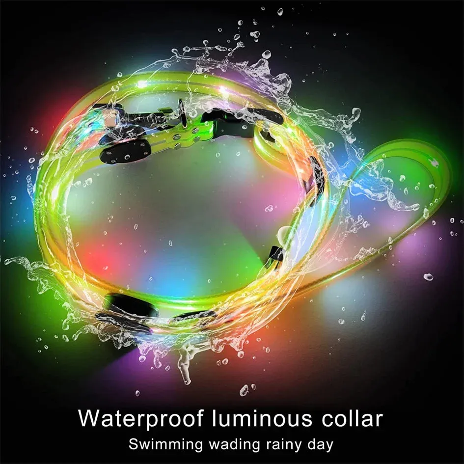 Rechargeable LED Dog Leash for Enhanced Nighttime Safety