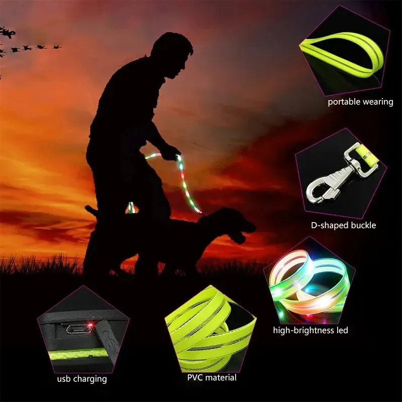 Rechargeable LED Dog Leash for Enhanced Nighttime Safety