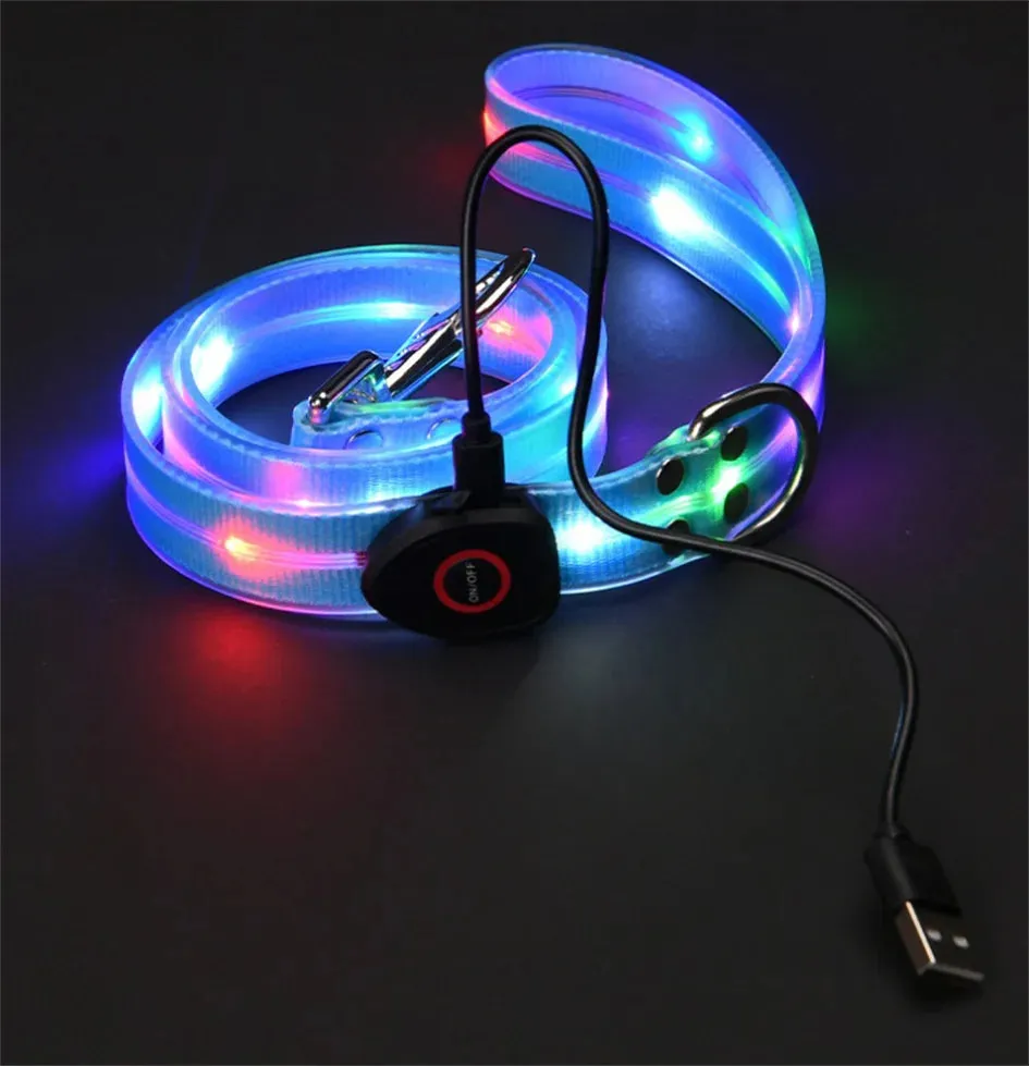 Rechargeable LED Dog Leash for Enhanced Nighttime Safety