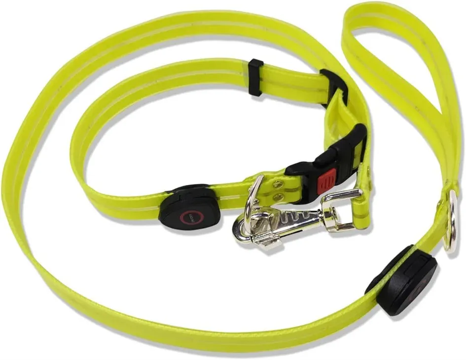 Rechargeable LED Dog Leash for Enhanced Nighttime Safety