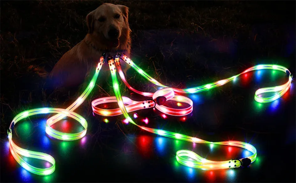 Rechargeable LED Dog Leash for Enhanced Nighttime Safety