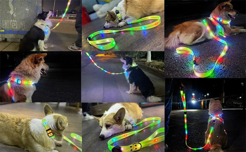 Rechargeable LED Dog Leash for Enhanced Nighttime Safety
