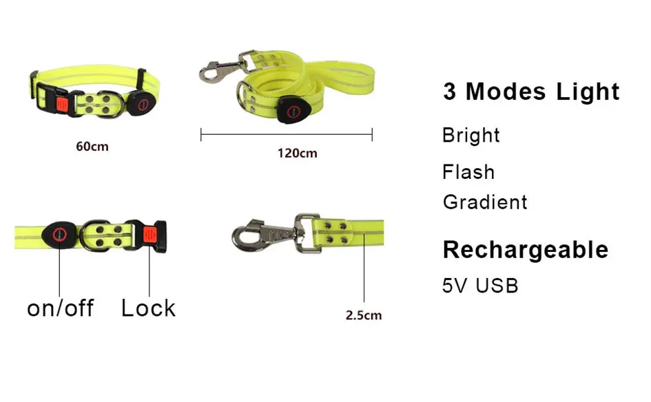 Rechargeable LED Dog Leash for Enhanced Nighttime Safety
