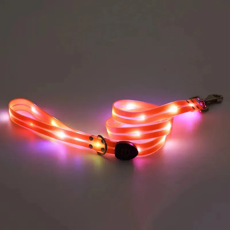 Rechargeable LED Dog Leash for Enhanced Nighttime Safety