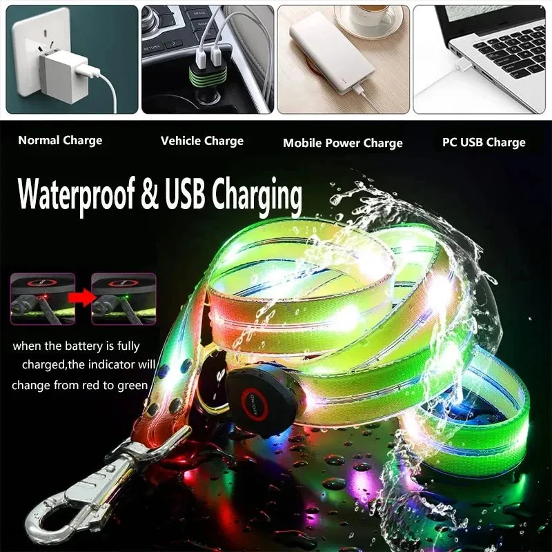 Rechargeable LED Dog Leash for Enhanced Nighttime Safety