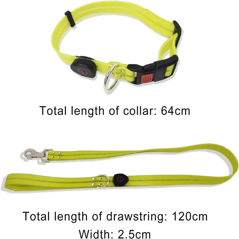 Rechargeable LED Dog Leash for Enhanced Nighttime Safety