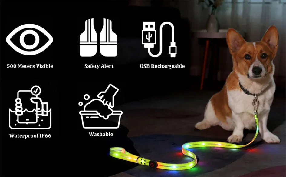 Rechargeable LED Dog Leash for Enhanced Nighttime Safety