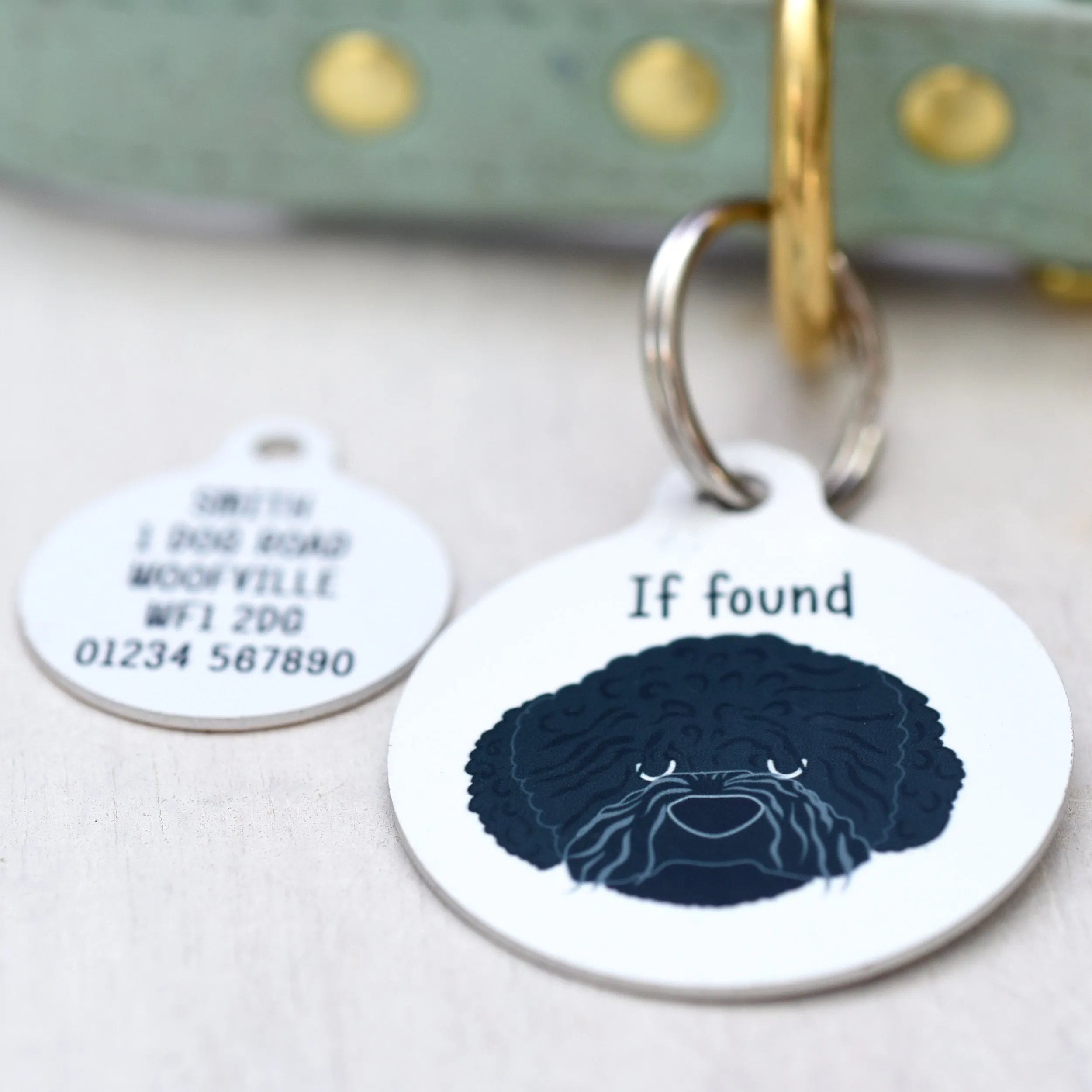 Romania Water dog Dog tag
