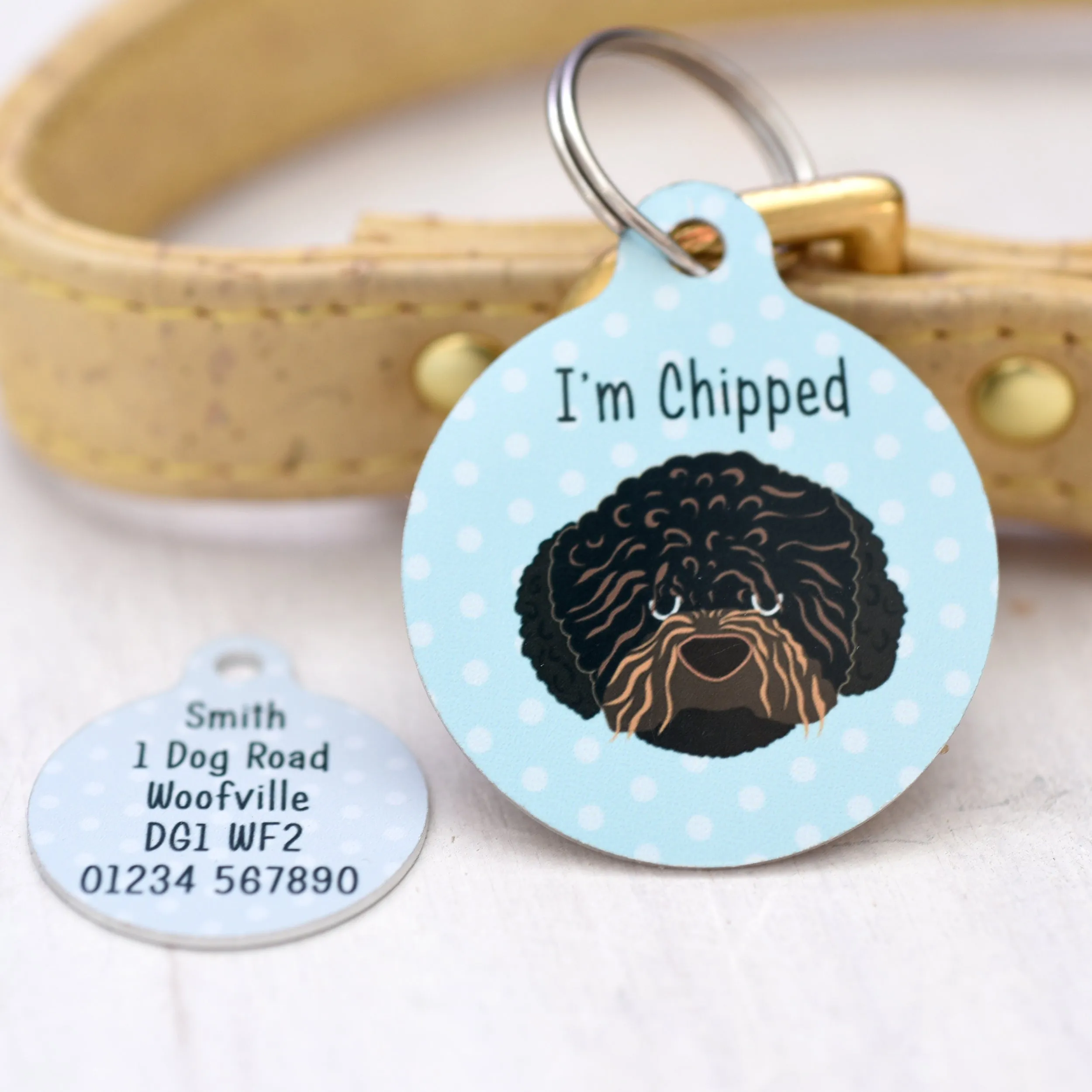 Romania Water dog Dog tag