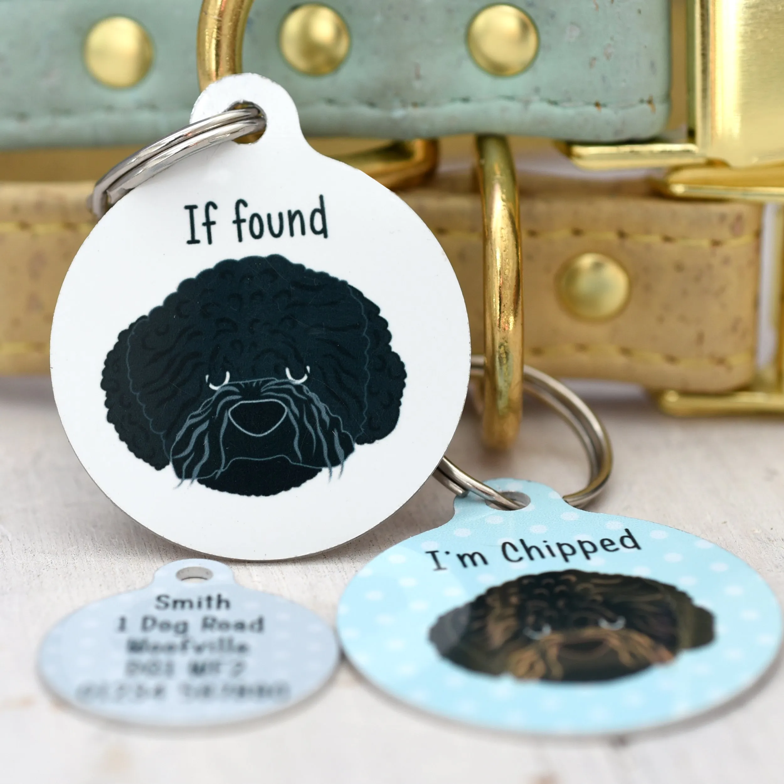 Romania Water dog Dog tag