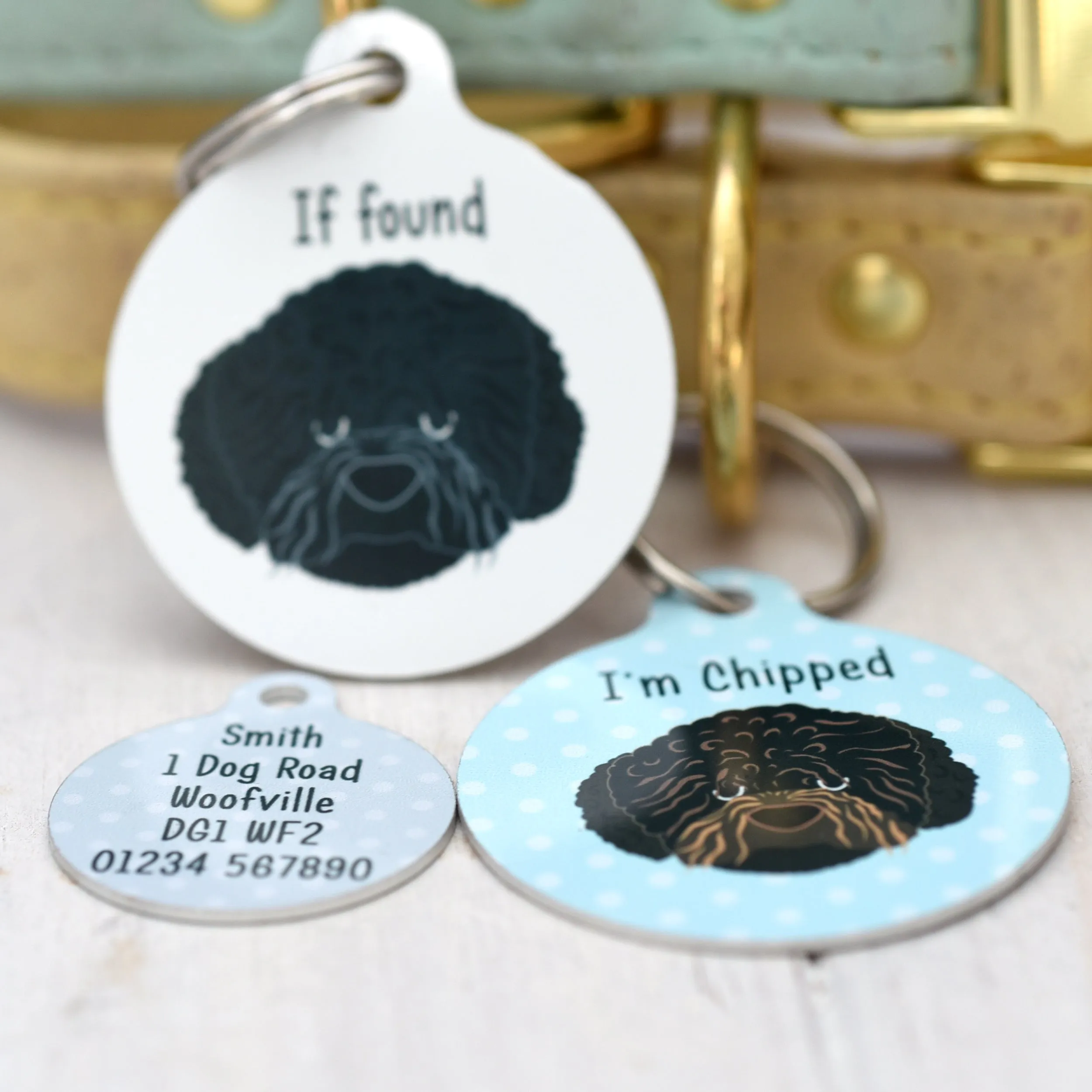 Romania Water dog Dog tag