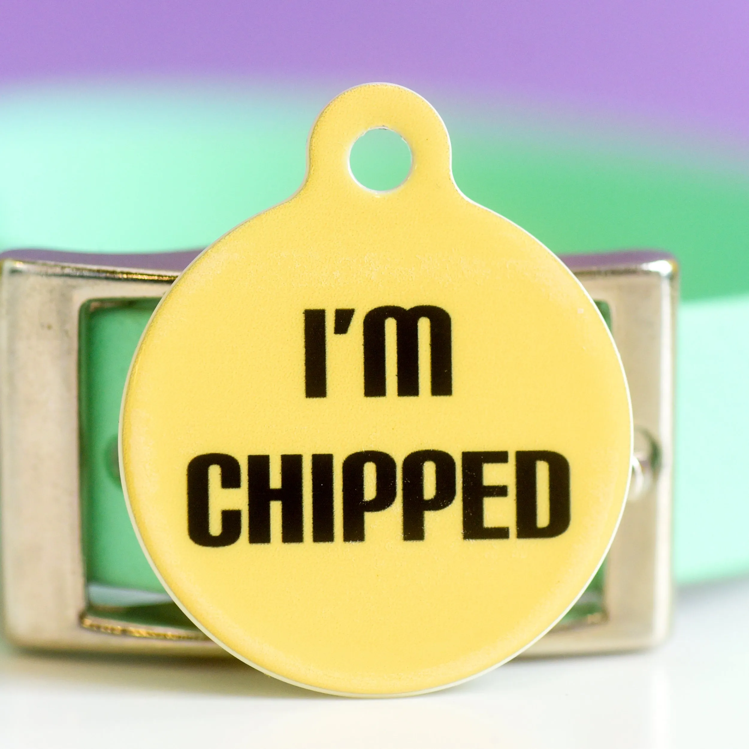 Signature Hoobynoo Block Colour Pet ID Tag