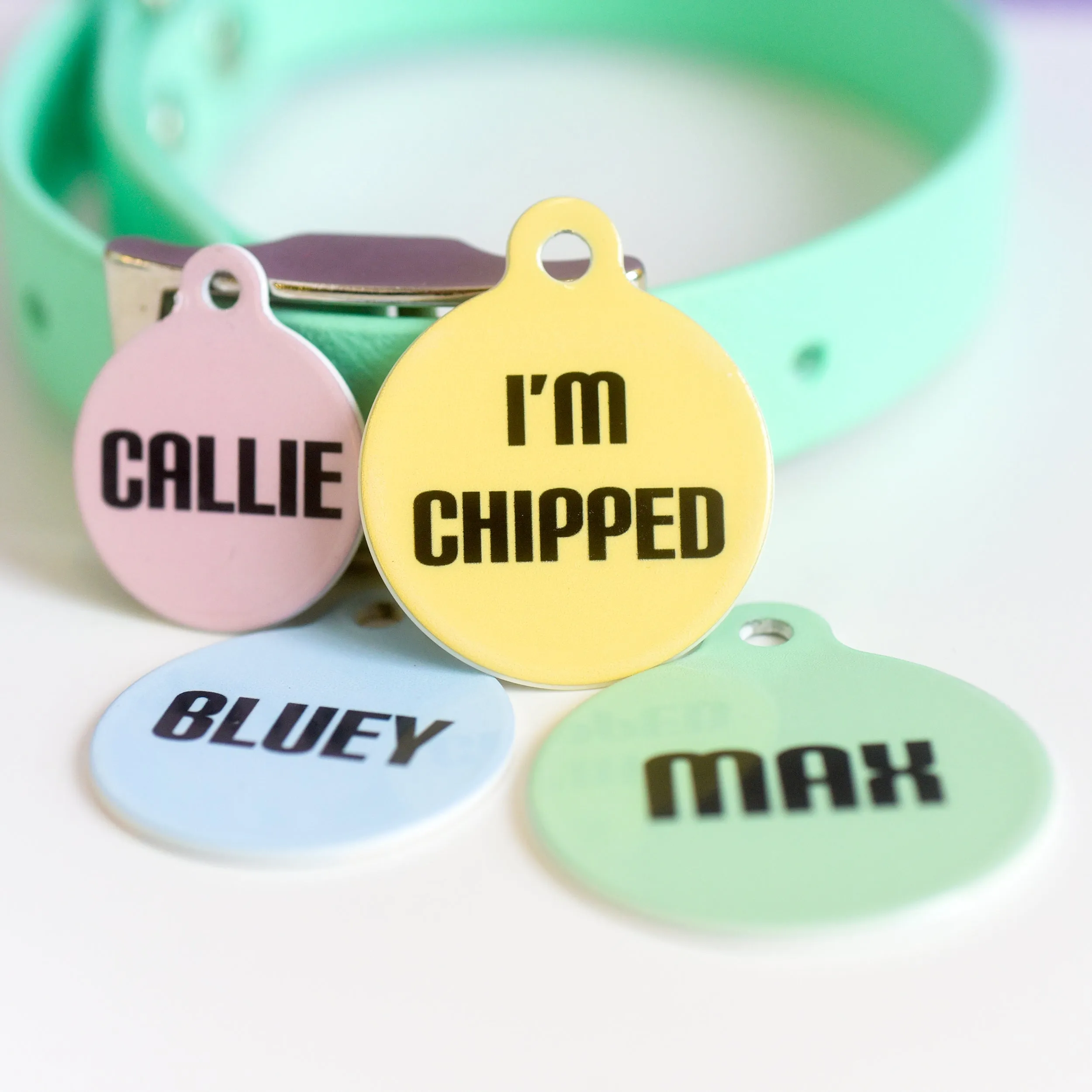 Signature Hoobynoo Block Colour Pet ID Tag