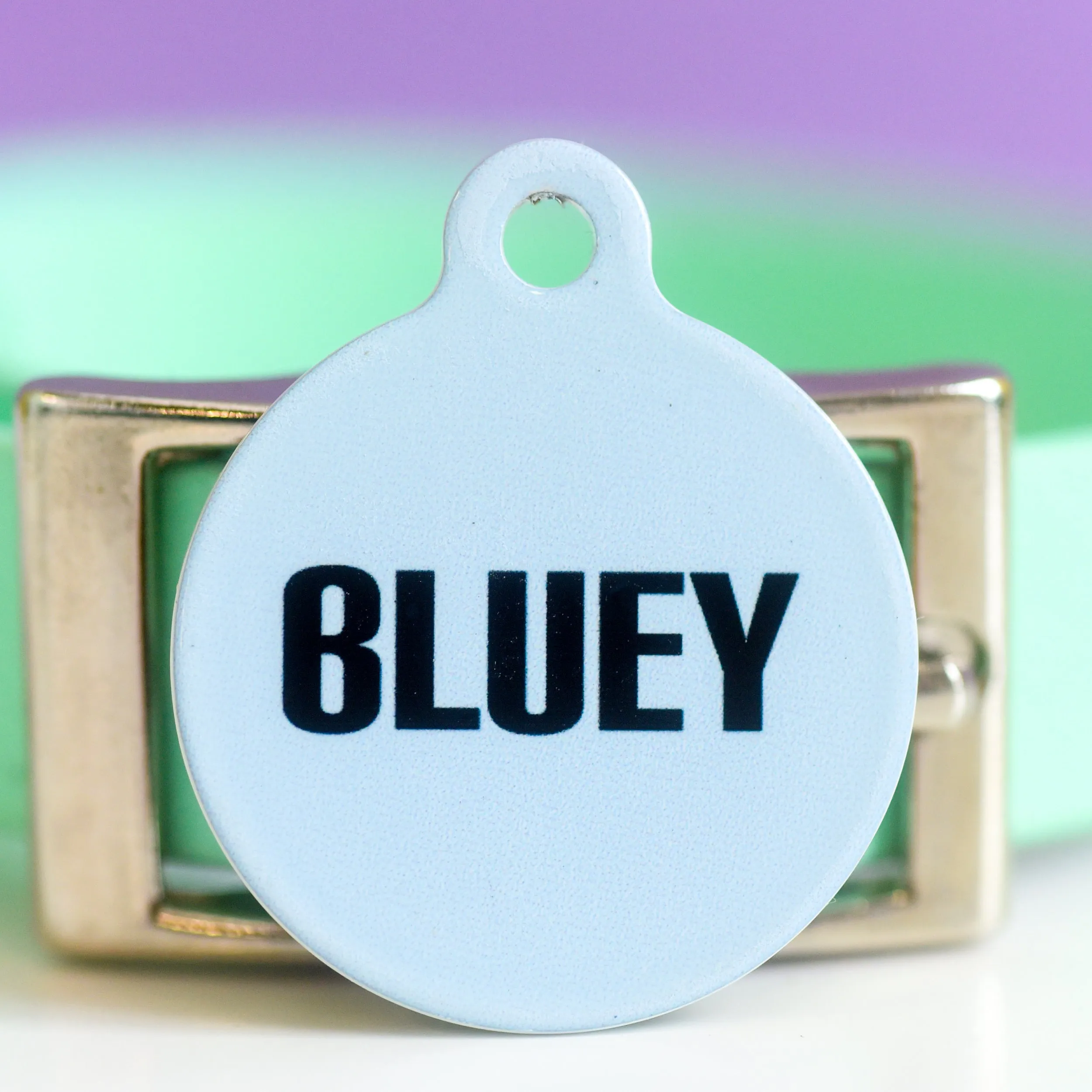 Signature Hoobynoo Block Colour Pet ID Tag