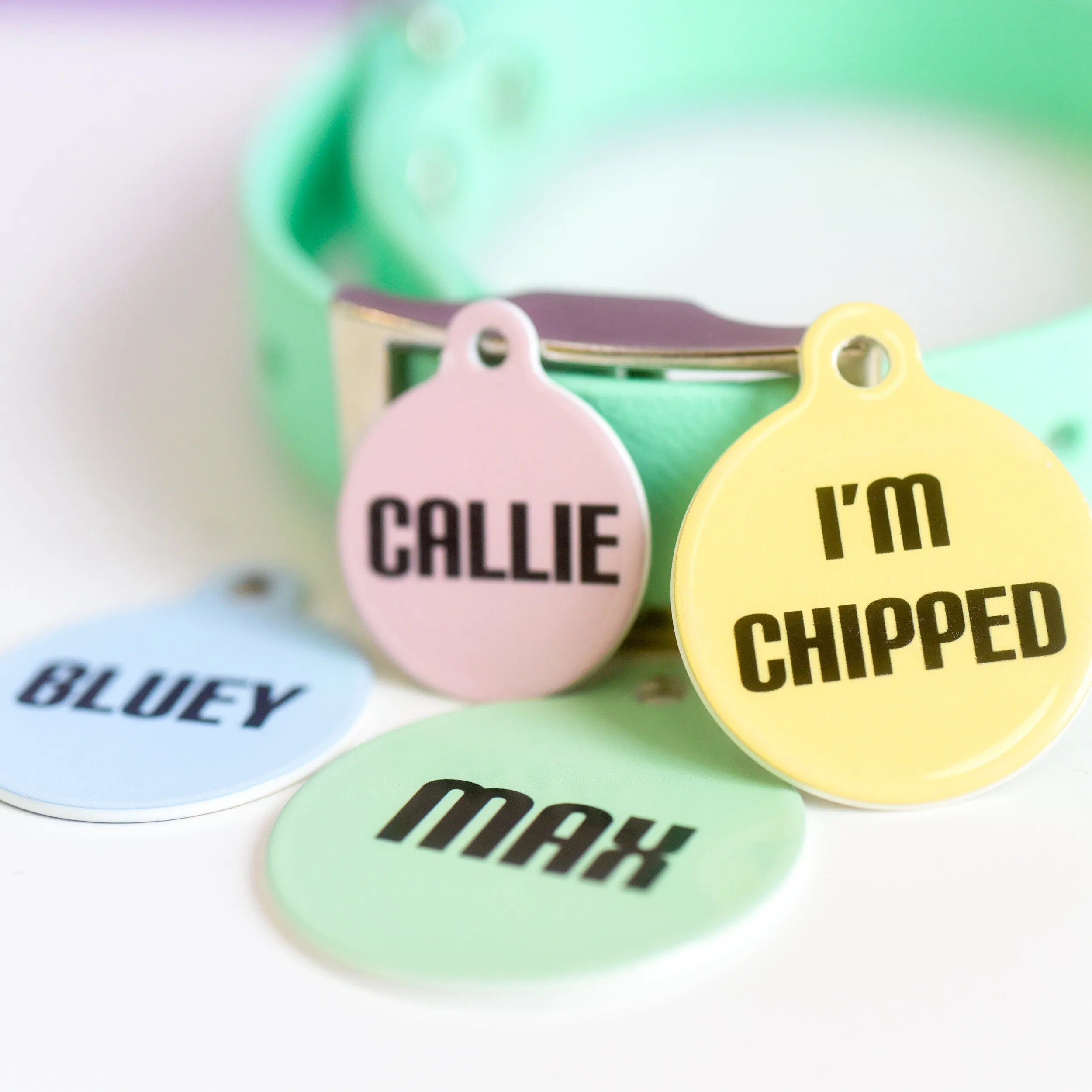 Signature Hoobynoo Block Colour Pet ID Tag