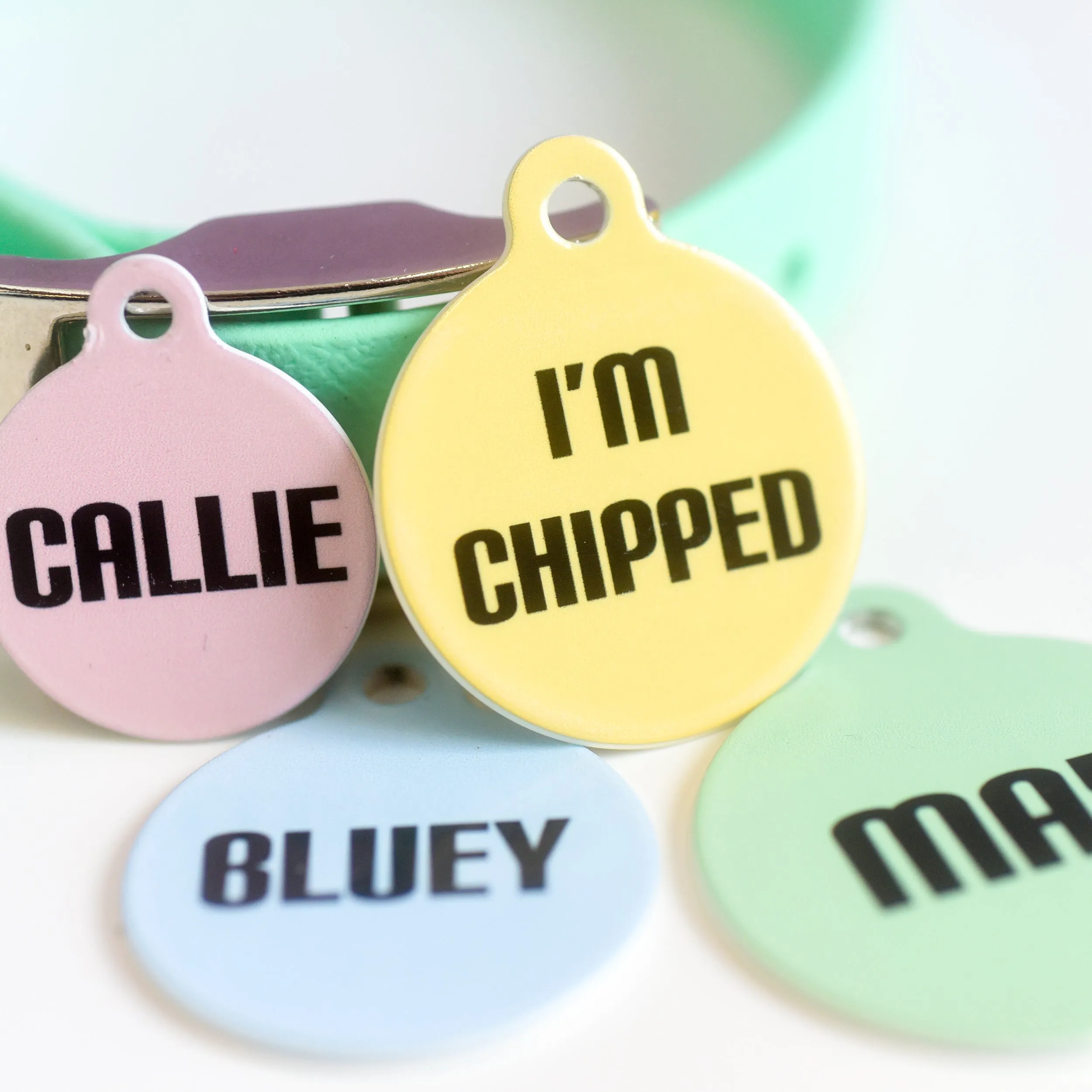 Signature Hoobynoo Block Colour Pet ID Tag