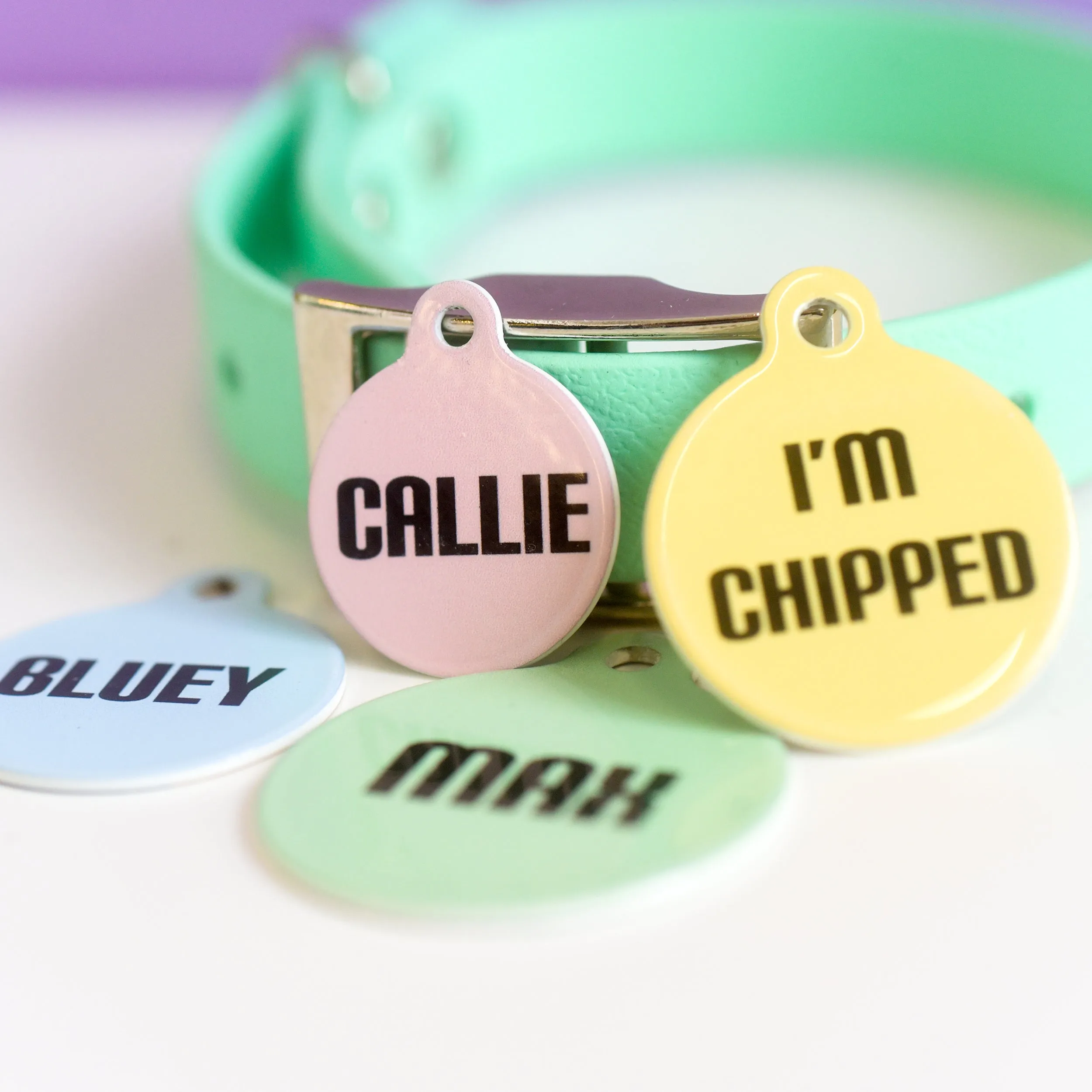 Signature Hoobynoo Block Colour Pet ID Tag